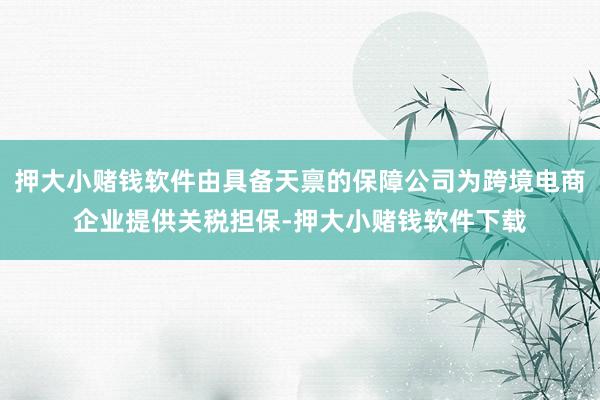 押大小赌钱软件由具备天禀的保障公司为跨境电商企业提供关税担保-押大小赌钱软件下载