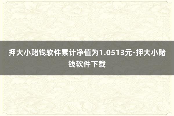 押大小赌钱软件累计净值为1.0513元-押大小赌钱软件下载