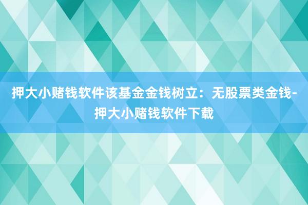 押大小赌钱软件该基金金钱树立：无股票类金钱-押大小赌钱软件下载