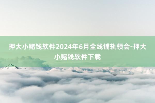 押大小赌钱软件2024年6月全线铺轨领会-押大小赌钱软件下载