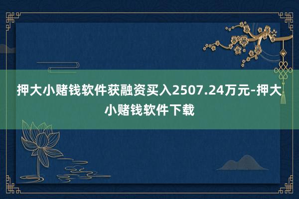 押大小赌钱软件获融资买入2507.24万元-押大小赌钱软件下载