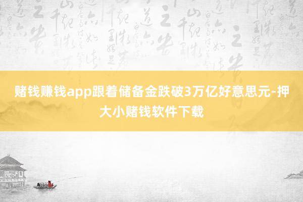 赌钱赚钱app跟着储备金跌破3万亿好意思元-押大小赌钱软件下载