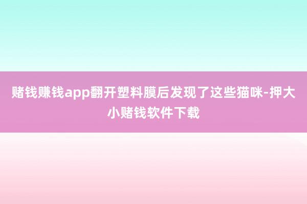 赌钱赚钱app翻开塑料膜后发现了这些猫咪-押大小赌钱软件下载